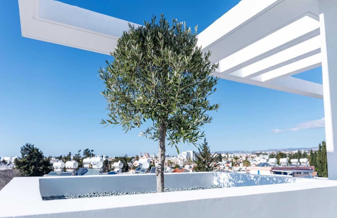 Regency Boutique Hotel Holiday Suites Paphos ภายนอก รูปภาพ